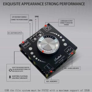 Mini amplificador Bluetooth 5.0 de 100W + 100W XY-AP100L